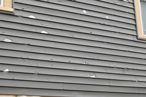 Shed Removal in Big Coppitt Key, FL